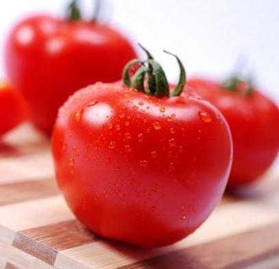 番茄,名符其实的长寿果