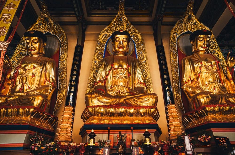 ������������������Ը��𣬺������ı�Ը��������