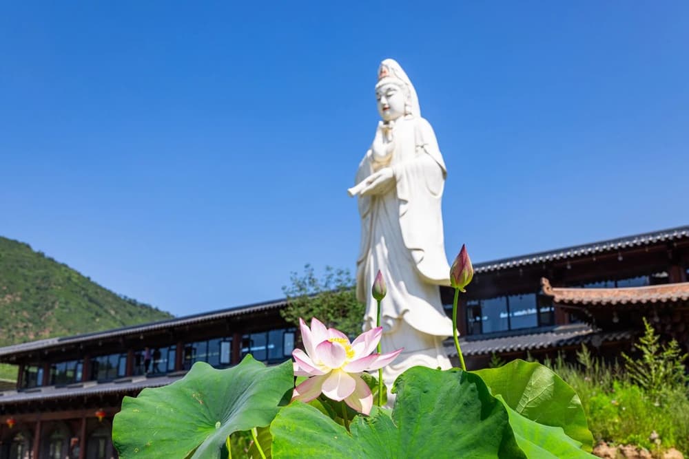 ����ʱ�յ�����