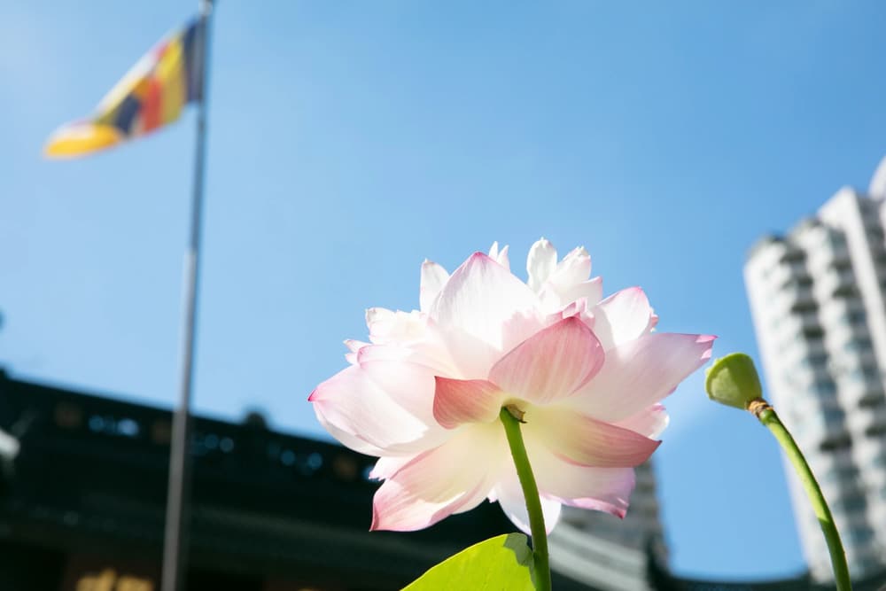 ���д����ҡ��Ƿǳ���Ҫ��