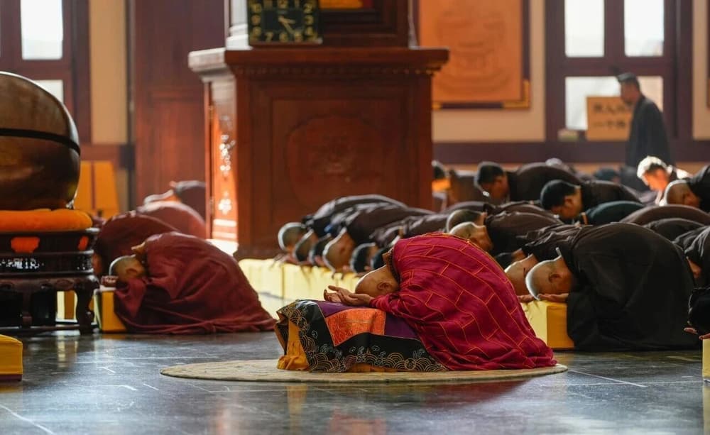 �����ܿ࣬������������������