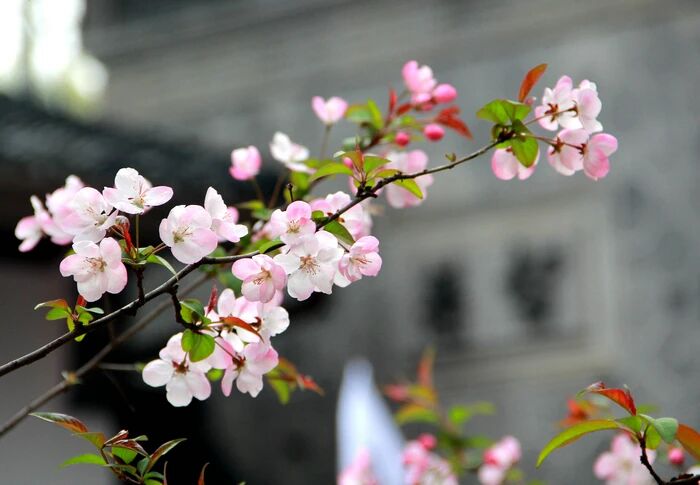 �û�ϲ������ʩ���Ժ�ø���ʱ��ǳ�˳��