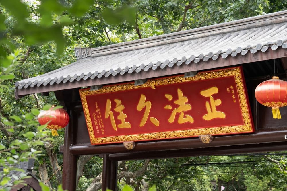 ���š����������ж�����