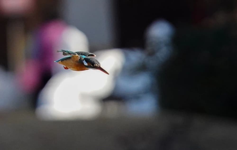 �������������