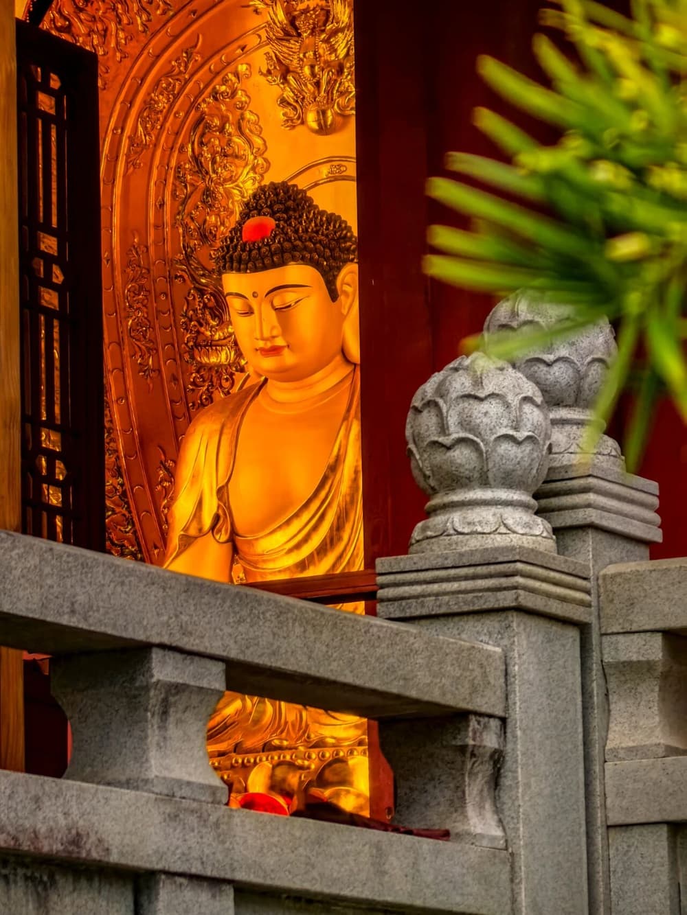 �������ʾ