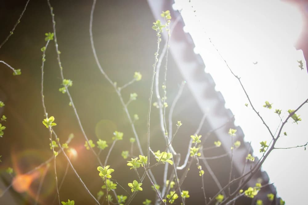 ����˥΢����������