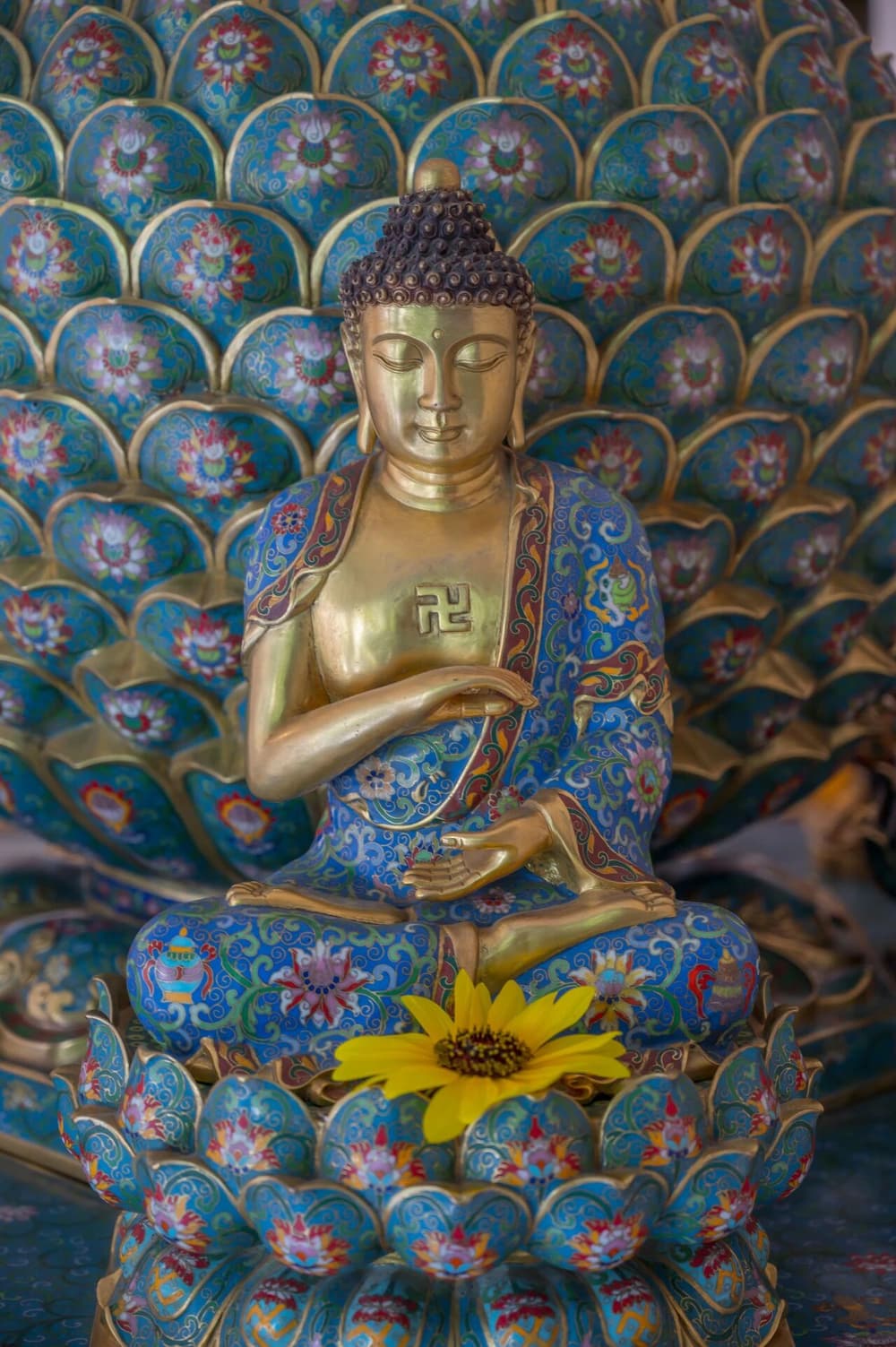 ������������޵��������Ⱳ�ӳɾ;��Բ�����