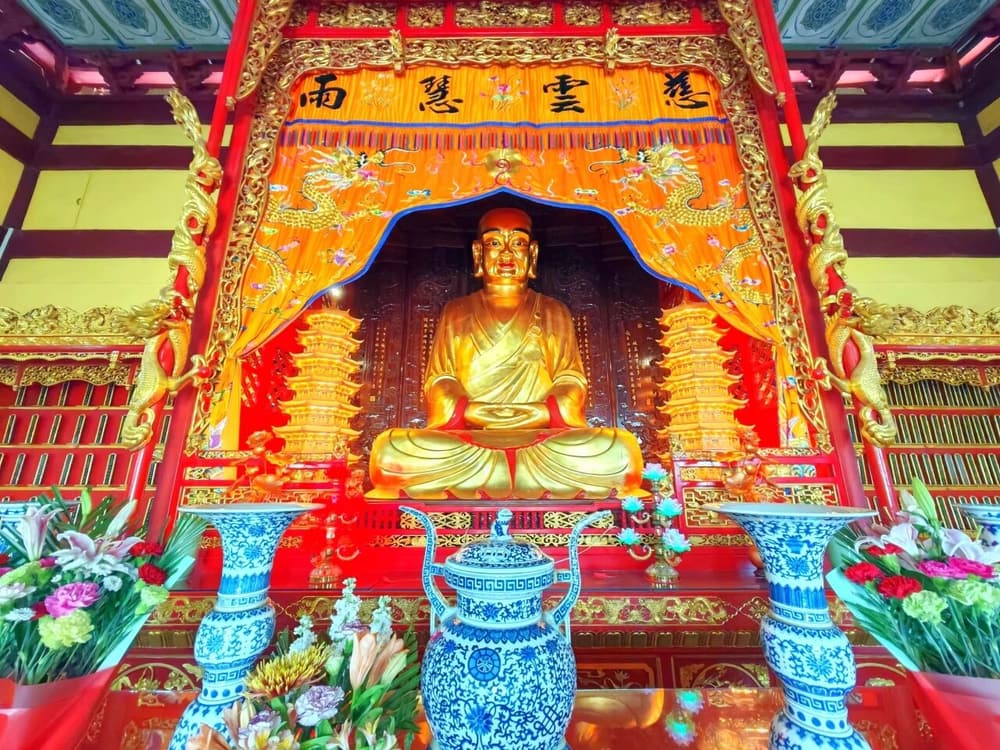 Ϊʲô��Щ��ѧ��󷴶����ָ��಻˳