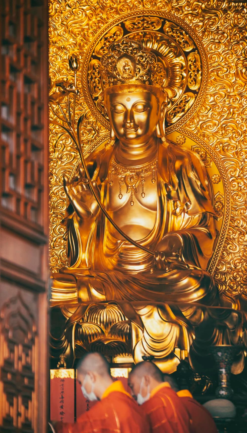 ������������������