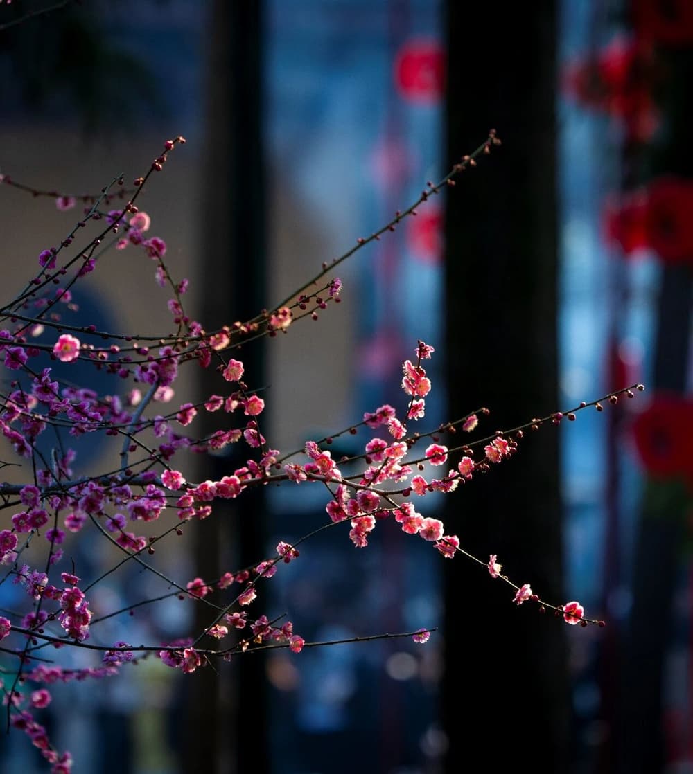 Т����ĸ���������ӡ������ɷ�